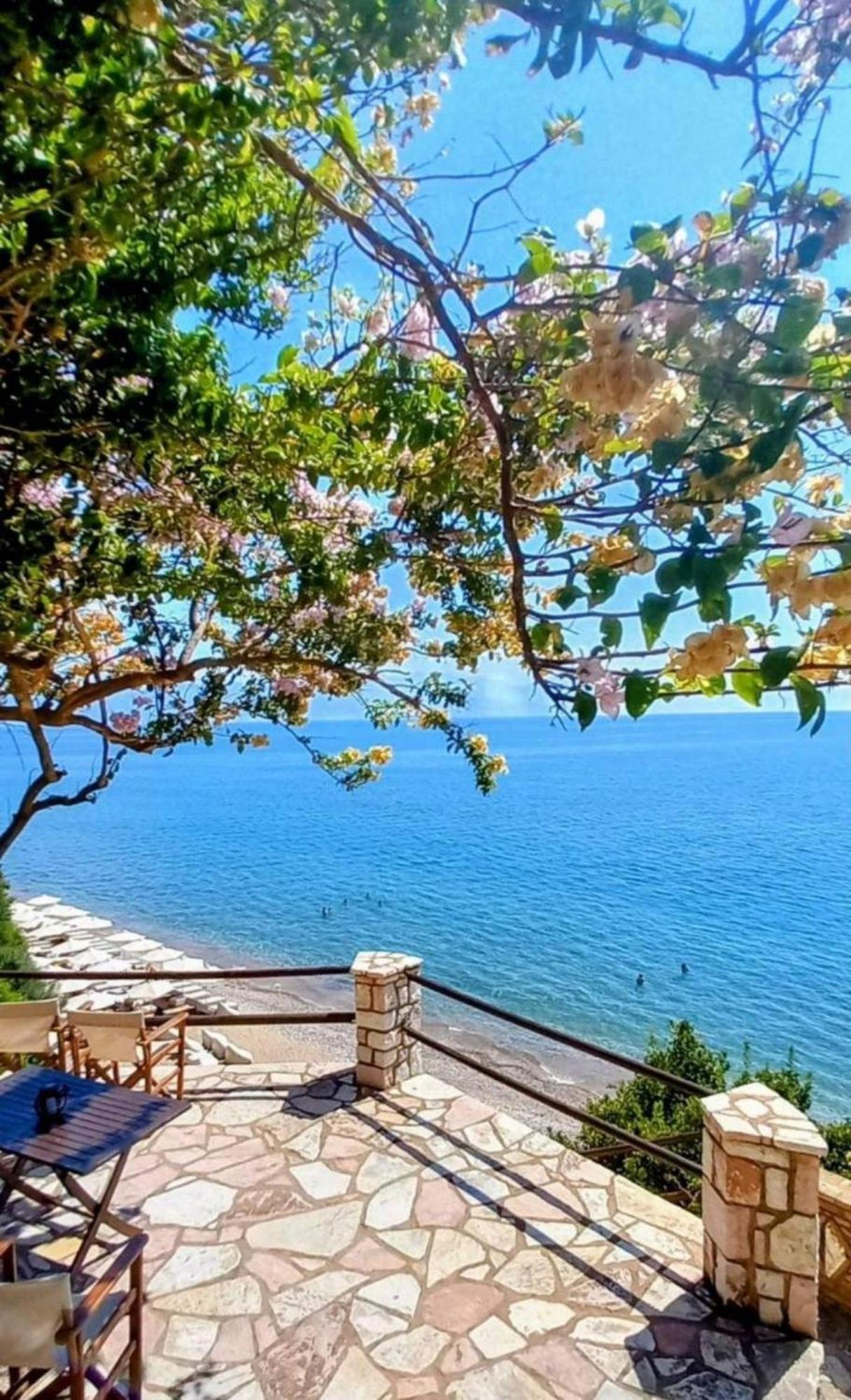 Panorama Beach 크라니 외부 사진